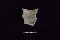 陶罐藏品圖，第2張